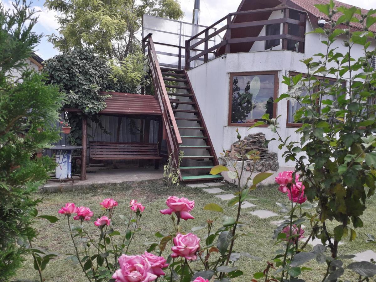 穆里吉奥尔 Casa Chitu旅馆 外观 照片
