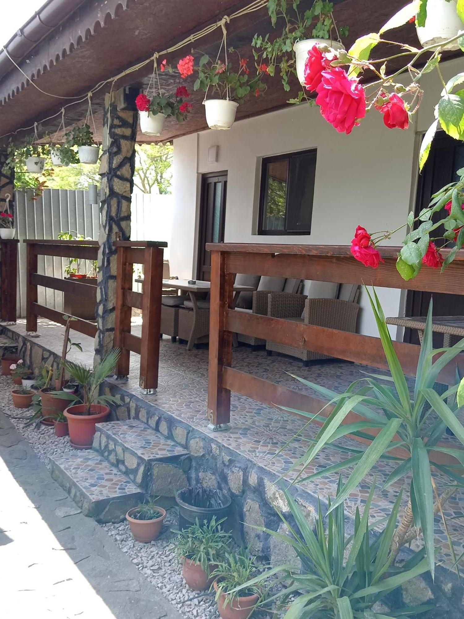 穆里吉奥尔 Casa Chitu旅馆 外观 照片